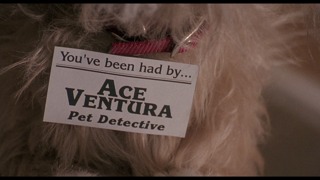 Ace Ventura Pet Detective Card