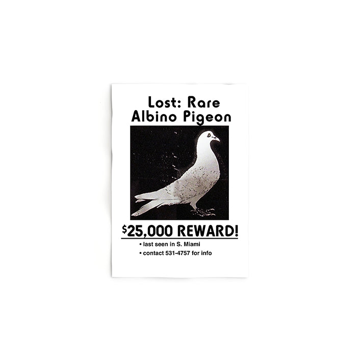 Lost Rare Albino Pigeon Print | Ace Ventura Pet Detective