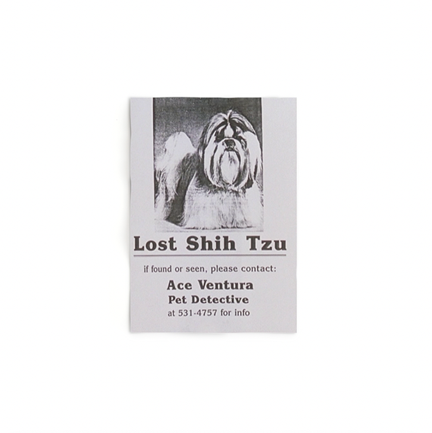 Tzu Dog Lost Shih Tzu Near Me Royal Canin Shih Tzu Puppy Dry Dog