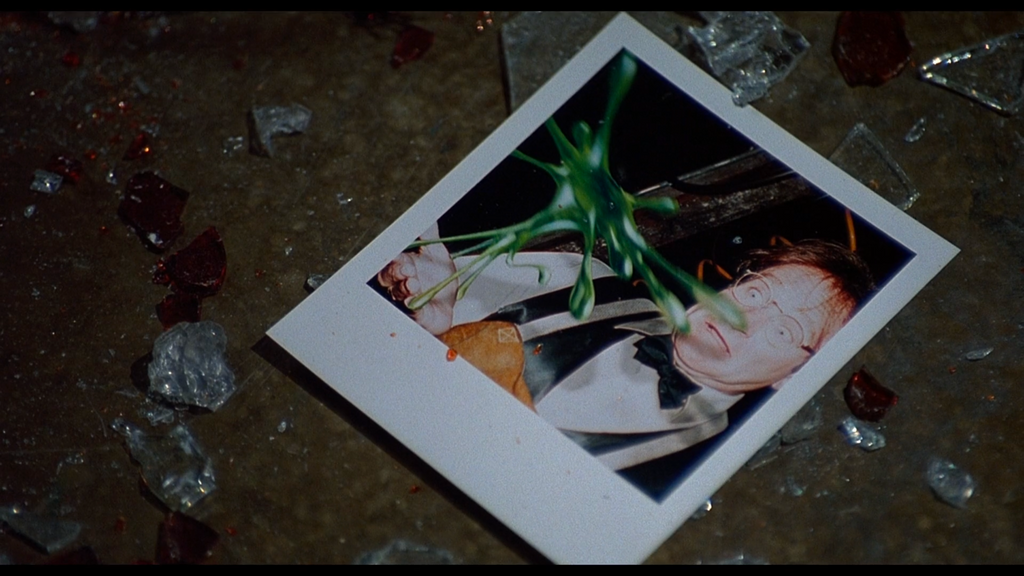 Professor Philip Brainard Polaroid | Flubber