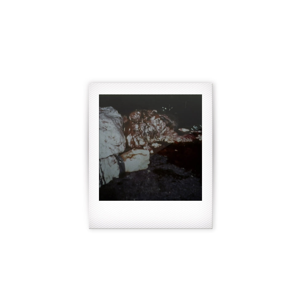 The Toxic Avenger Polaroid