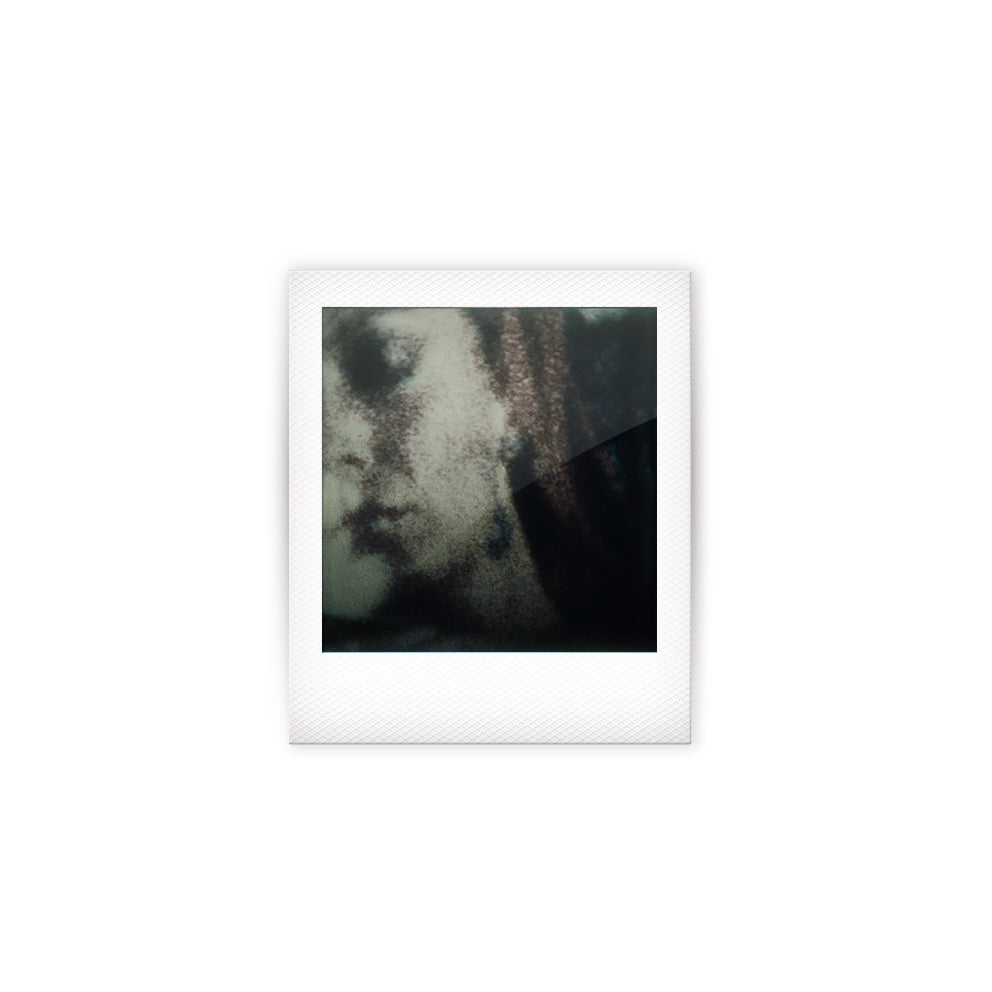 Zhora Polaroid | Blade Runner