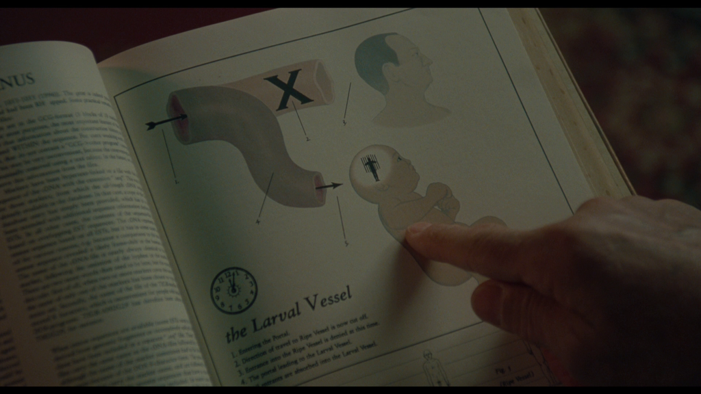 The Larval Vessel Poster | Being John Malkovich
