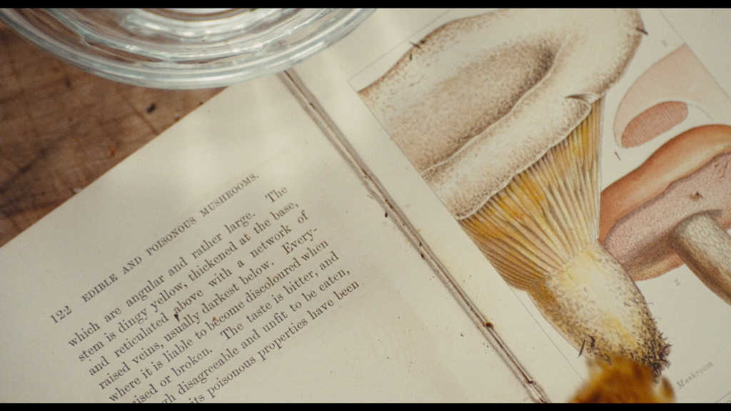 Edible and Poisonous Mushrooms What to Eat and What to Avoid Vintage Book | Phantom Thread