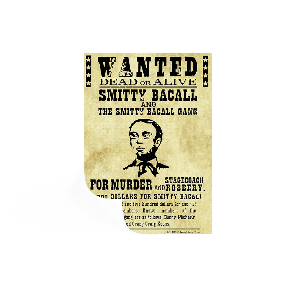 Django Unchained Wanted Flyer
