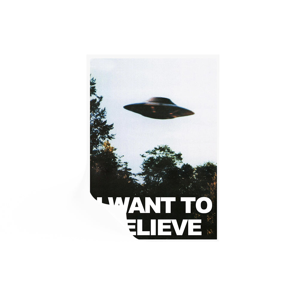 I Want To Believe Poster | X Files