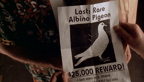 Lost Rare Albino Pigeon Print | Ace Ventura Pet Detective