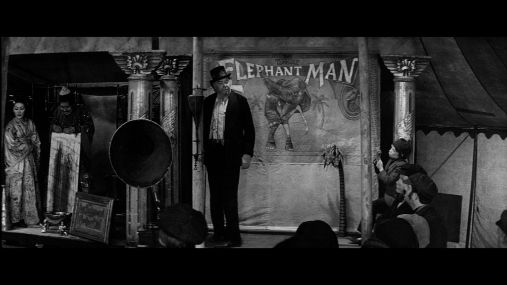 The Terrible Elephant Man Tapestry The Elephant Man