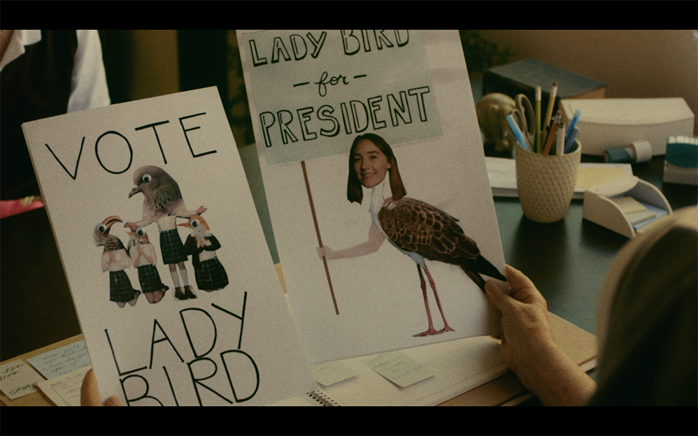 Lady Bird For President Poster