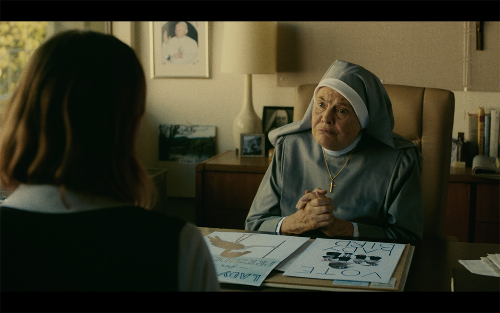 Lady Bird For President Poster