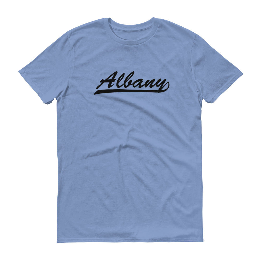 Albany T-Shirt Dunder Mifflin Company Picnic