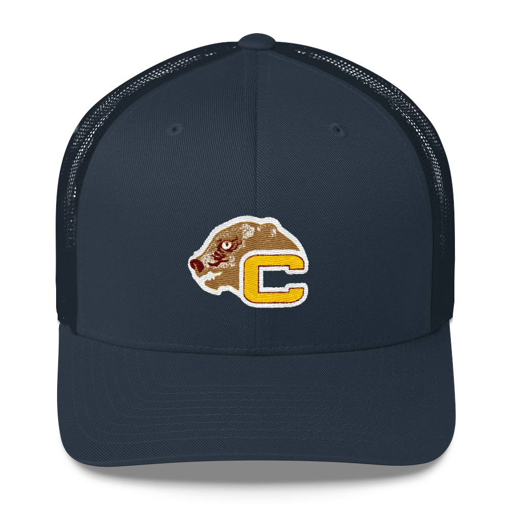 Nashville Sounds '47 Brand Royal Burgess Throwback Trucker Hat